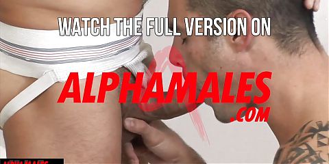 Alphamales.com - Versatile guys do it better